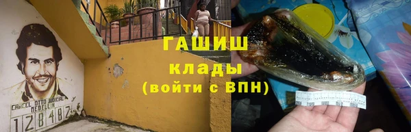 гашик Богданович