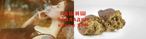 сатива Беломорск
