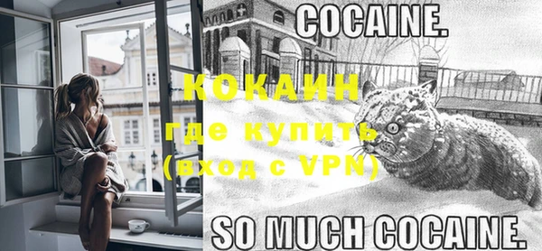 гашик Богданович