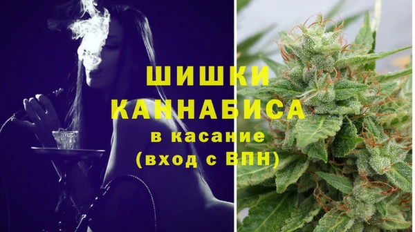 гашик Богданович