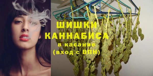 гашик Богданович